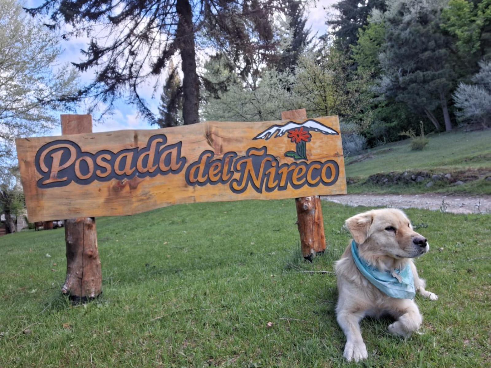 Posada Del Nireco San Carlos de Bariloche Exteriér fotografie