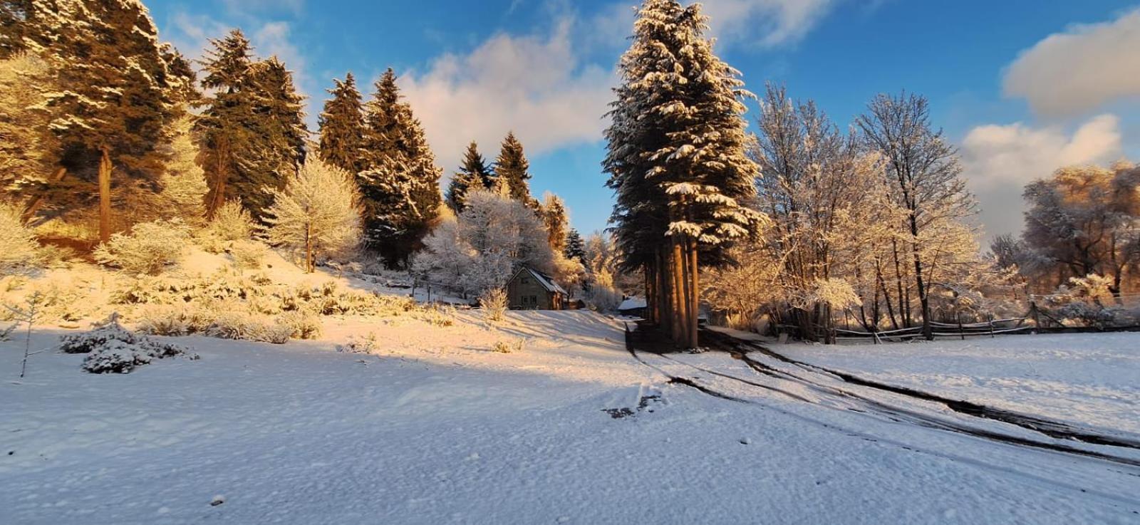 Posada Del Nireco San Carlos de Bariloche Exteriér fotografie